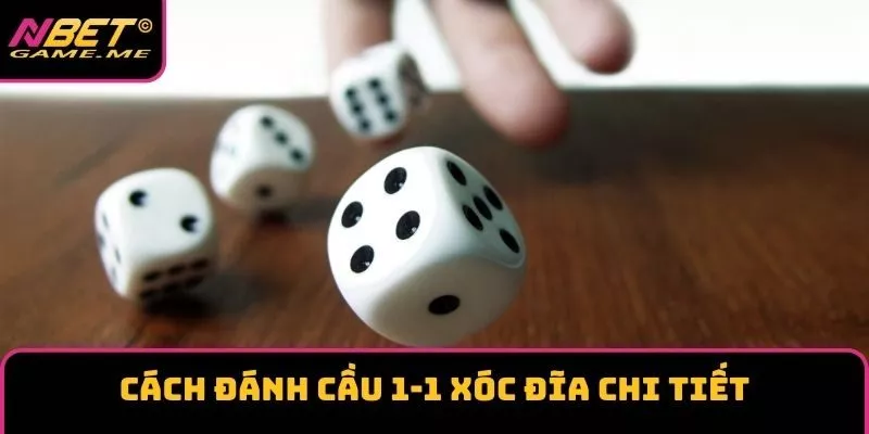 Cách Đánh Cầu 1-1 Xóc Đĩa Chi Tiết