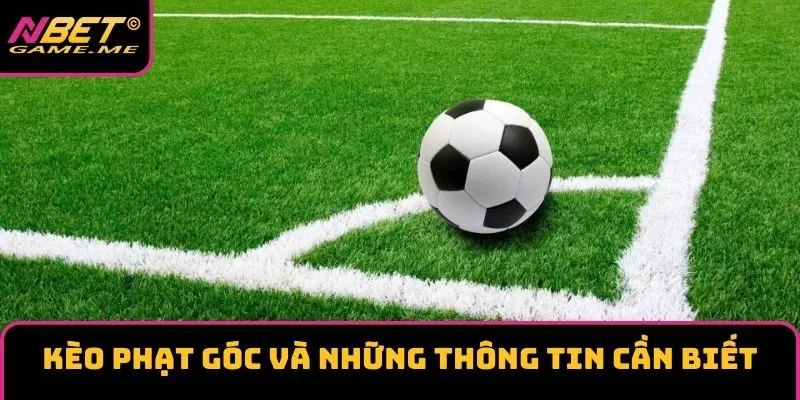 Kèo phạt góc và những thông tin cần biết Kèo phạt góc và những thông tin cần biết