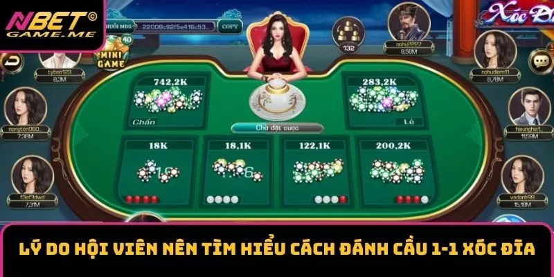 Lý do hội viên nên tìm hiểu cách đánh cầu 1-1 xóc đĩa Lý do hội viên nên tìm hiểu cách đánh cầu 1-1 xóc đĩa