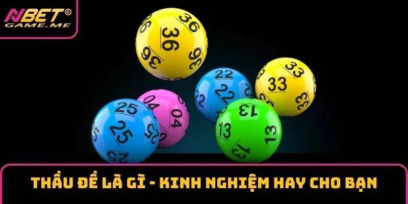 Thầu Đề Là Gì? Kinh Nghiệm Hay Cho Bạn