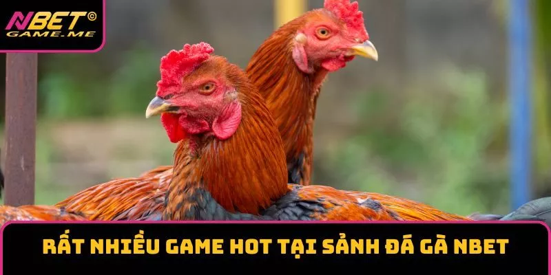 Rất nhiều game hot tại sảnh đá gà Rất nhiều game hot tại sảnh đá gà